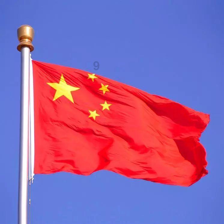 怎么查车的保险公司游戏画面