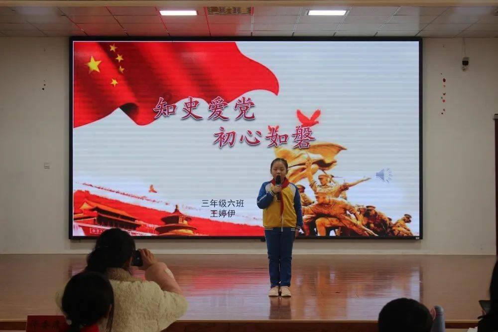 可爱的小考拉